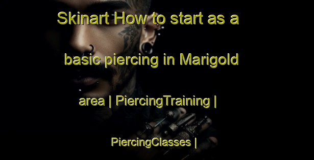 Skinart How to start as a basic piercing in Marigold area | PiercingTraining | PiercingClasses | SkinartTraining-United States